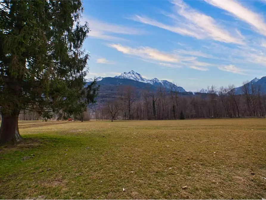 Immagine 5 di Rustico / casale in vendita  in VERAMPIO a Crodo