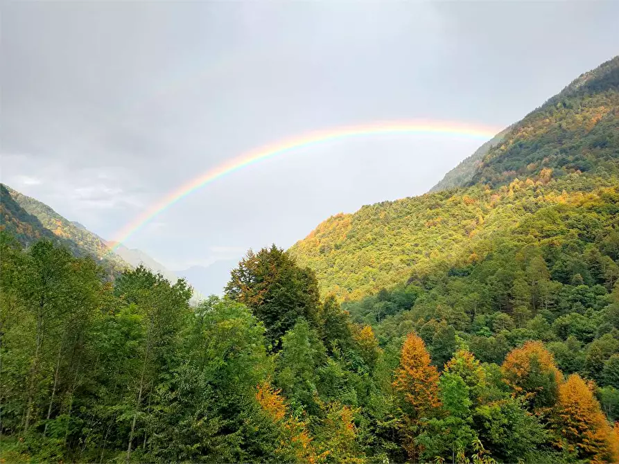 Immagine 8 di Casa indipendente in vendita  in MONTE ROSA a Calasca-Castiglione