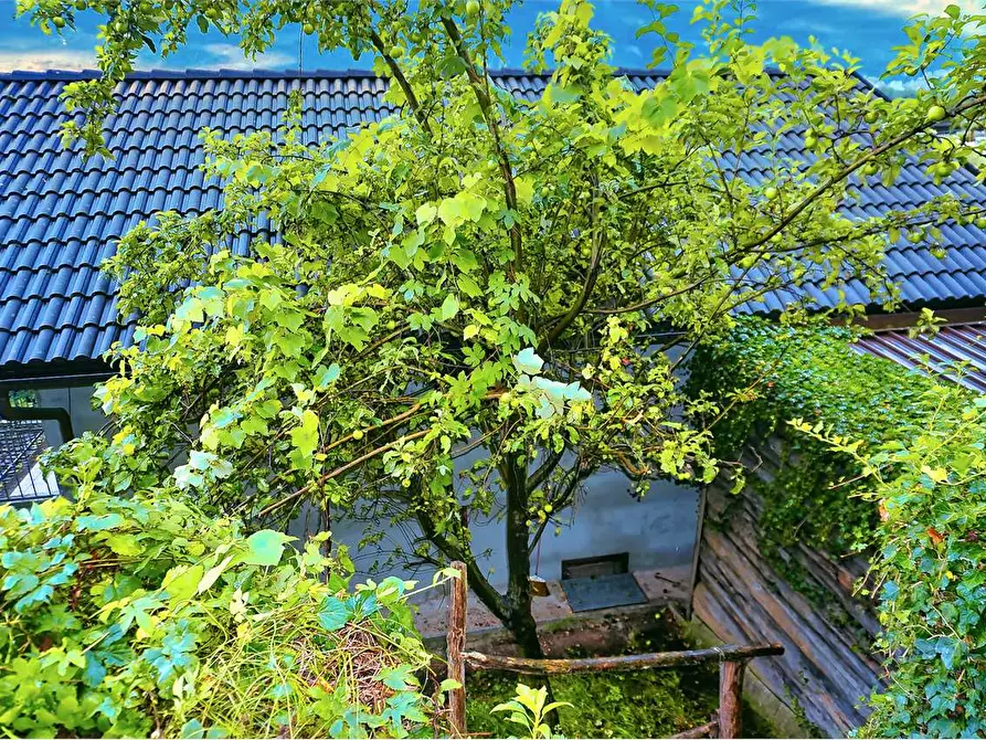 Immagine 6 di Casa indipendente in vendita  in via  domodossola 57 a Beura-Cardezza