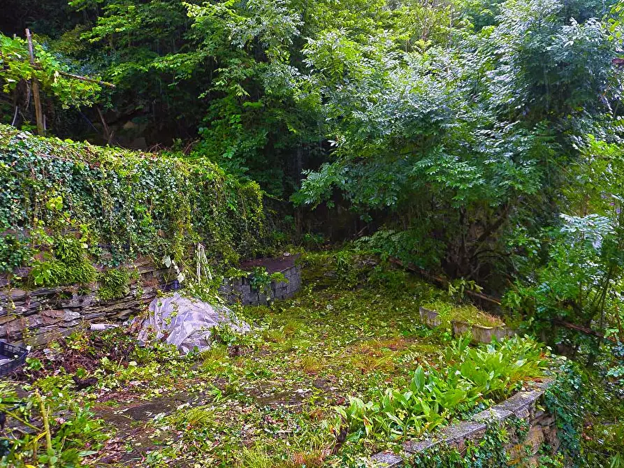 Immagine 27 di Casa indipendente in vendita  in via  domodossola 57 a Beura-Cardezza