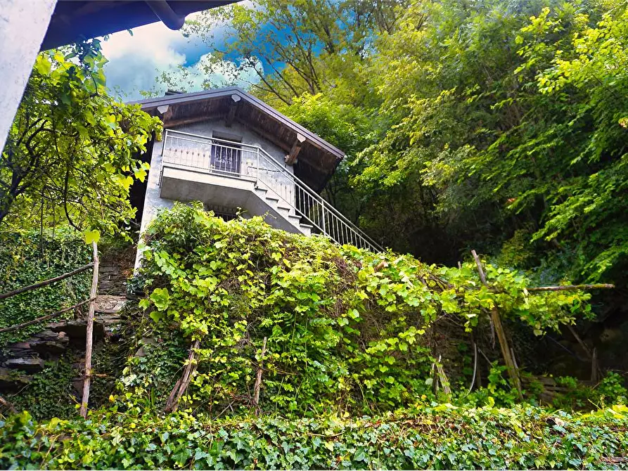 Immagine 28 di Casa indipendente in vendita  in via  domodossola 57 a Beura-Cardezza