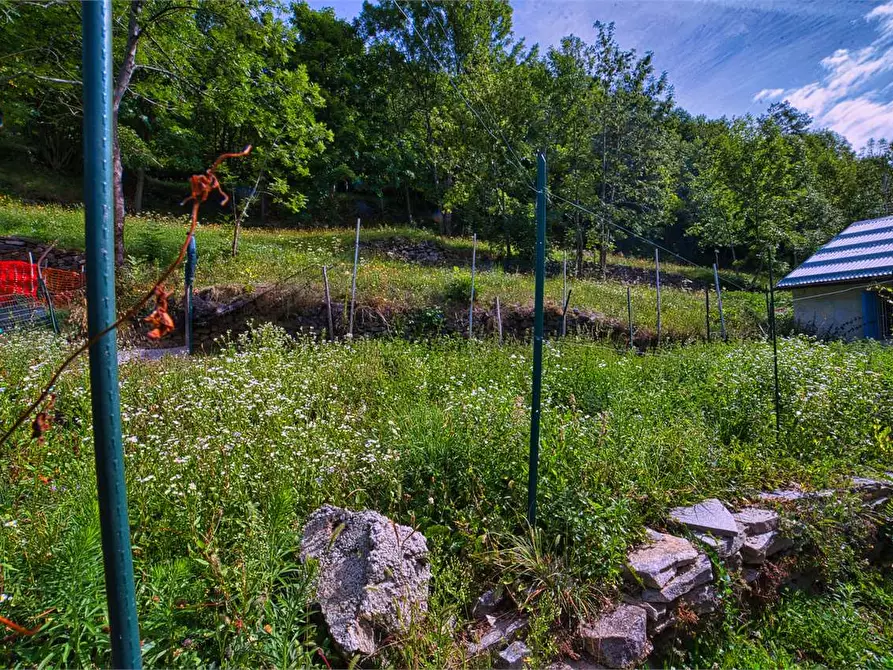 Immagine 5 di Baita in vendita  in LAVANALLO 2 a Trasquera