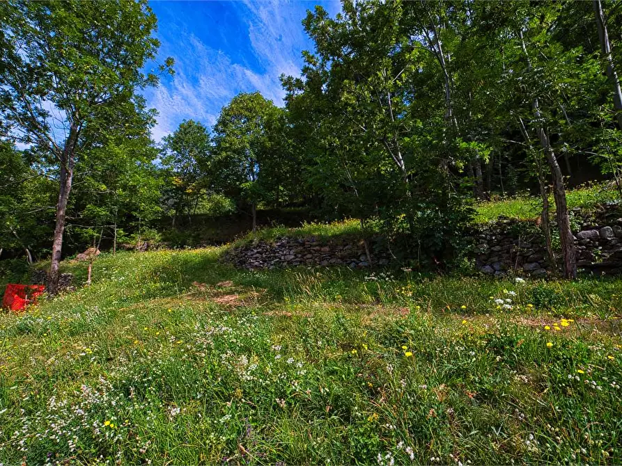 Immagine 10 di Baita in vendita  in LAVANALLO 2 a Trasquera
