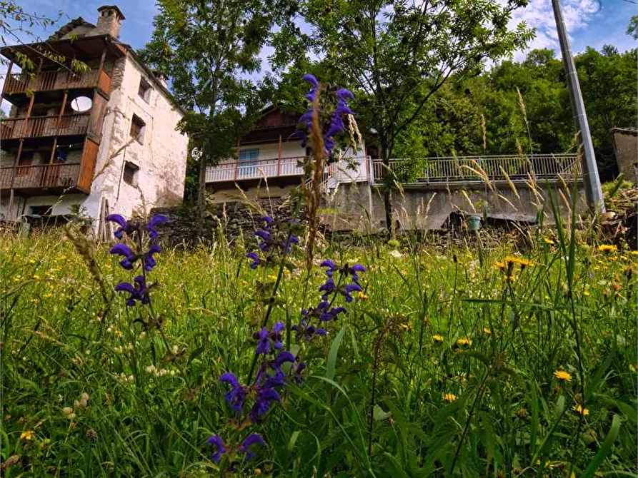 Immagine 30 di Baita in vendita  in LAVANALLO 2 a Trasquera