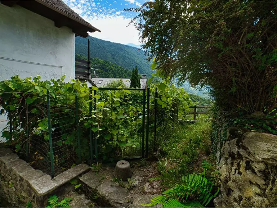 Immagine 49 di Casa indipendente in vendita  in COGGIA a Varzo