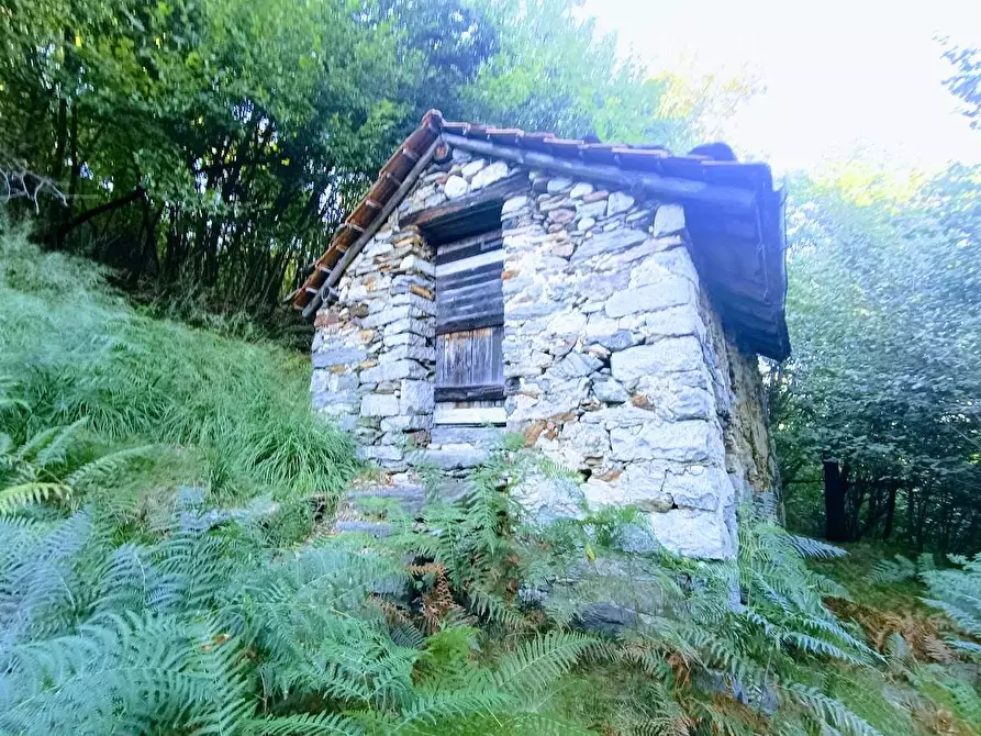 Immagine 2 di Baita in vendita  in ARZO a Casale Corte Cerro