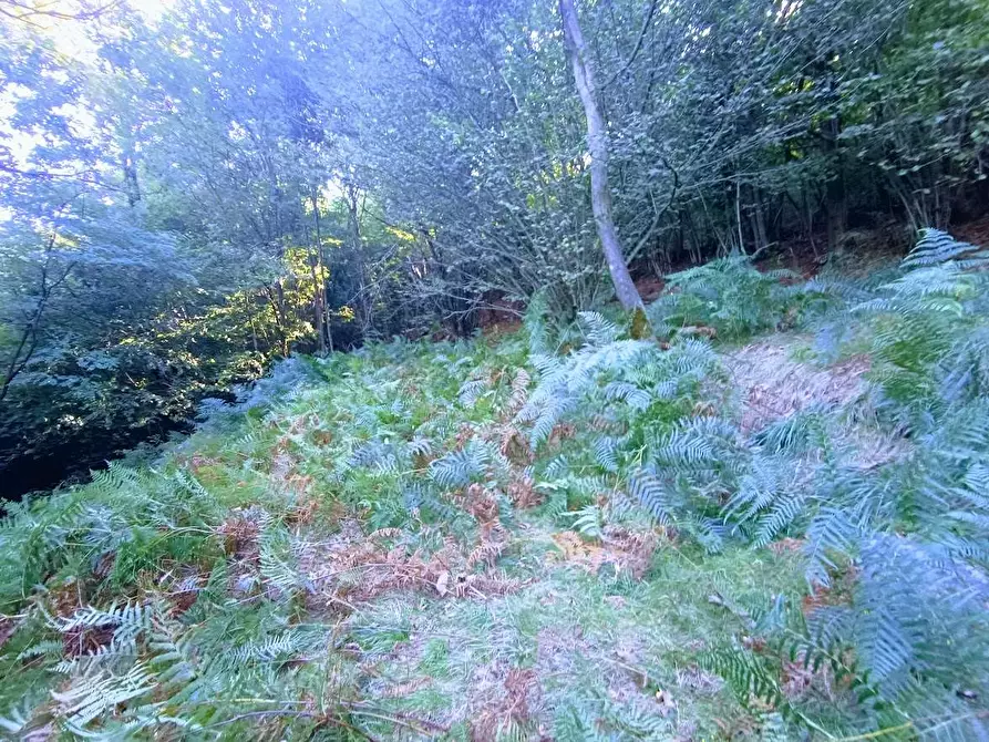 Immagine 16 di Baita in vendita  in ARZO a Casale Corte Cerro