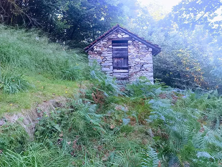 Immagine 3 di Baita in vendita  in ARZO a Casale Corte Cerro