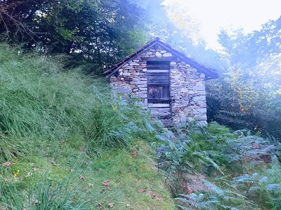 Immagine 6 di Baita in vendita  in ARZO a Casale Corte Cerro