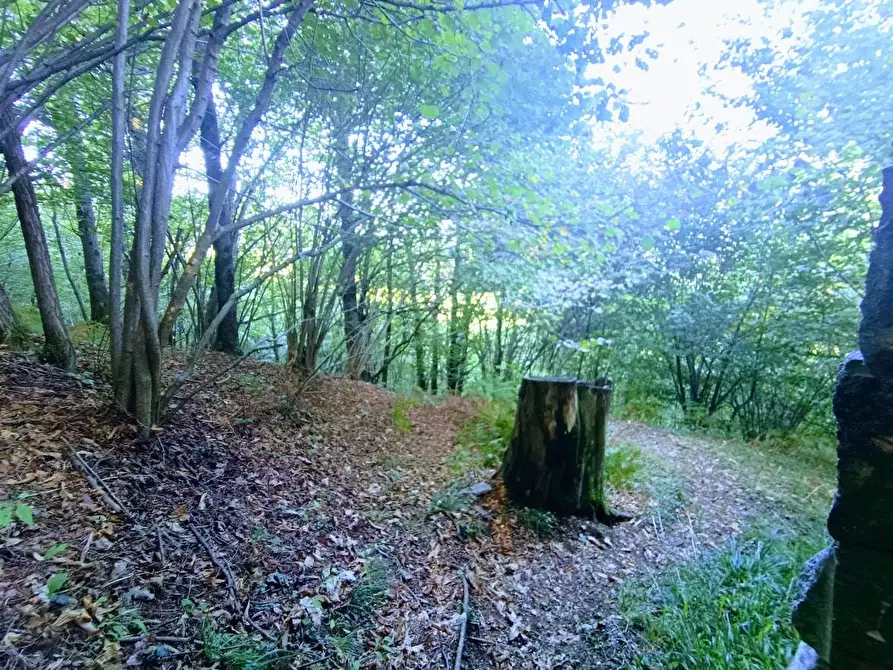 Immagine 21 di Baita in vendita  in ARZO a Casale Corte Cerro
