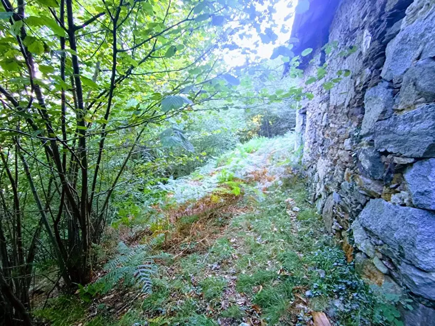 Immagine 11 di Baita in vendita  in ARZO a Casale Corte Cerro