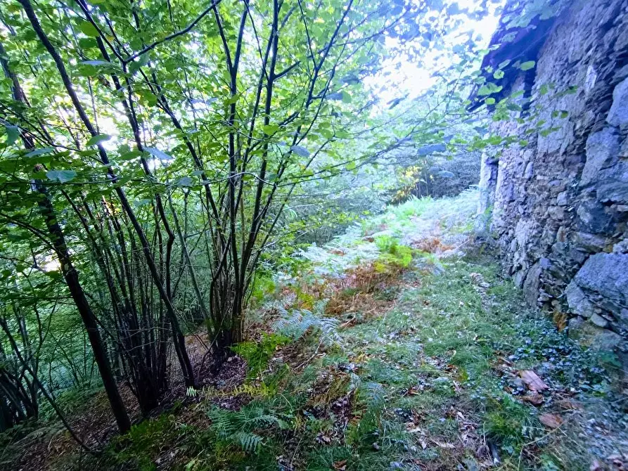 Immagine 22 di Baita in vendita  in ARZO a Casale Corte Cerro