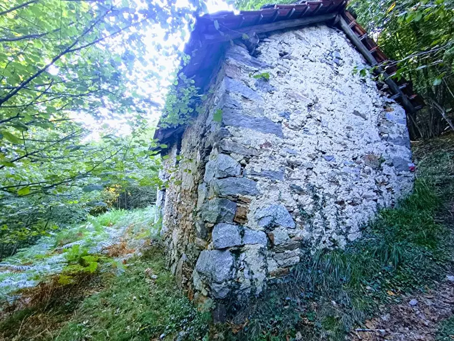 Immagine 24 di Baita in vendita  in ARZO a Casale Corte Cerro