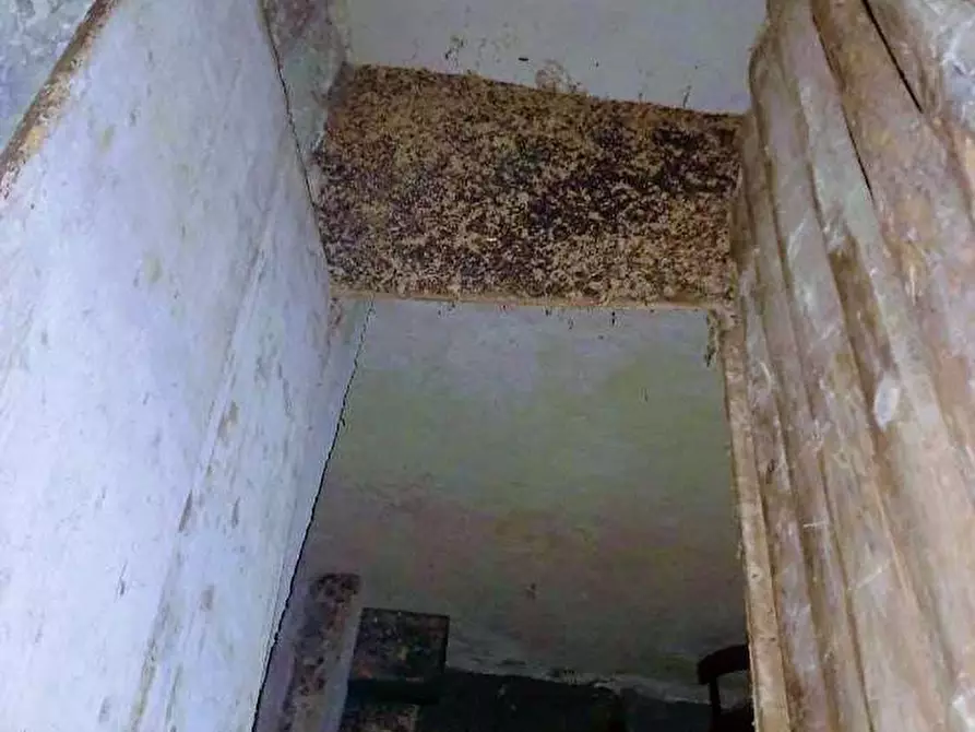 Immagine 21 di Baita in vendita  in MIRATE ALPE a Villette