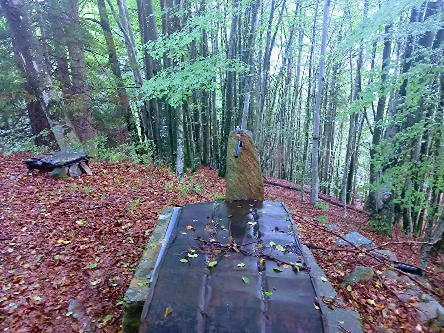 Immagine 7 di Baita in vendita  in MIRATE ALPE a Villette