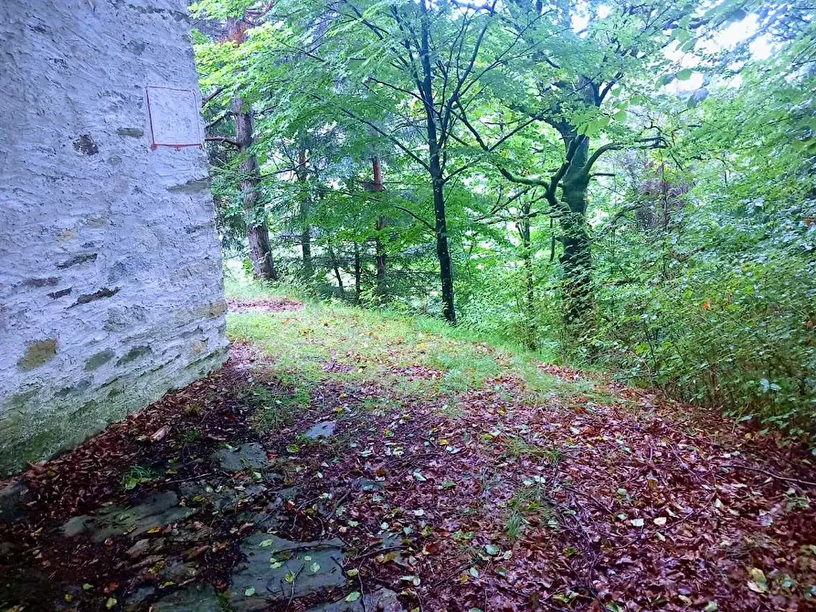 Immagine 5 di Baita in vendita  in MIRATE ALPE a Villette