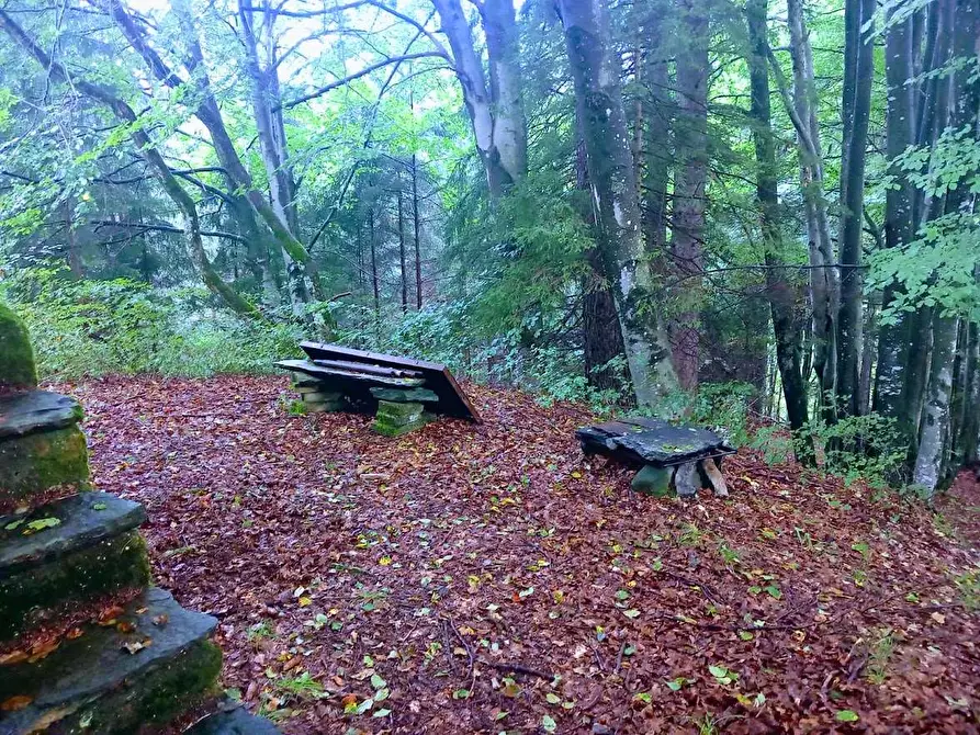 Immagine 11 di Baita in vendita  in MIRATE ALPE a Villette