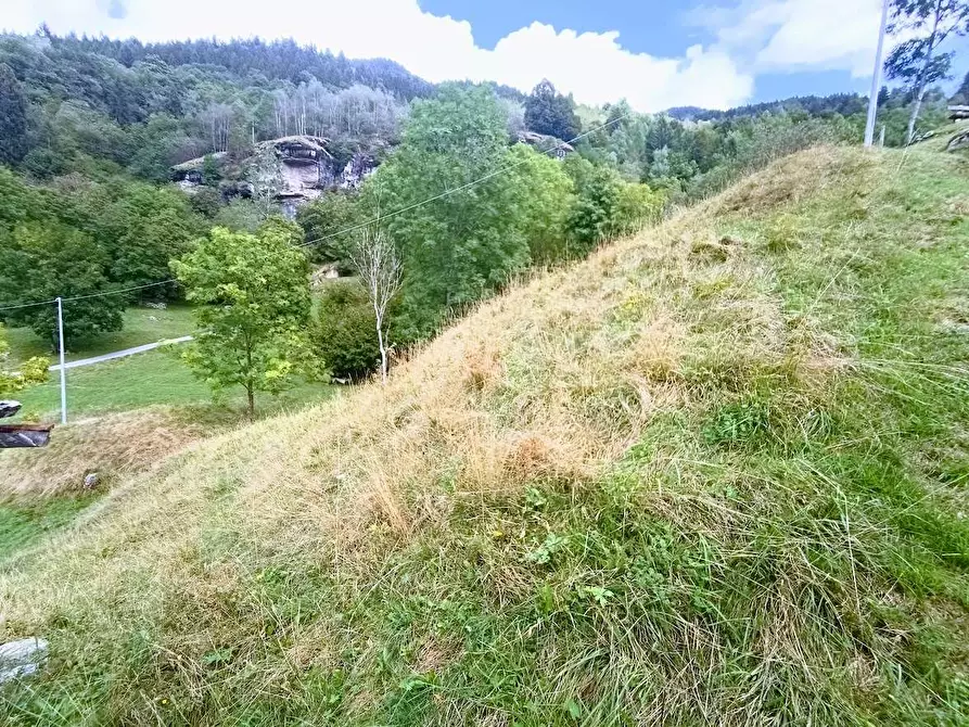 Immagine 51 di Baita in vendita  in MOULONE a Varzo