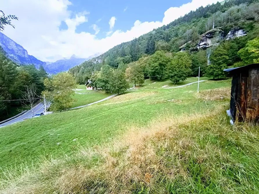 Immagine 39 di Baita in vendita  in MOULONE a Varzo