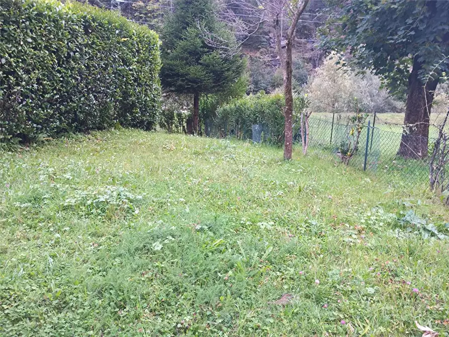 Immagine 5 di Appartamento in vendita  in RIVASCO a Premia