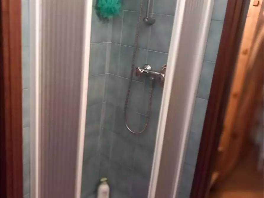 Immagine 14 di Appartamento in vendita  in RIVASCO a Premia