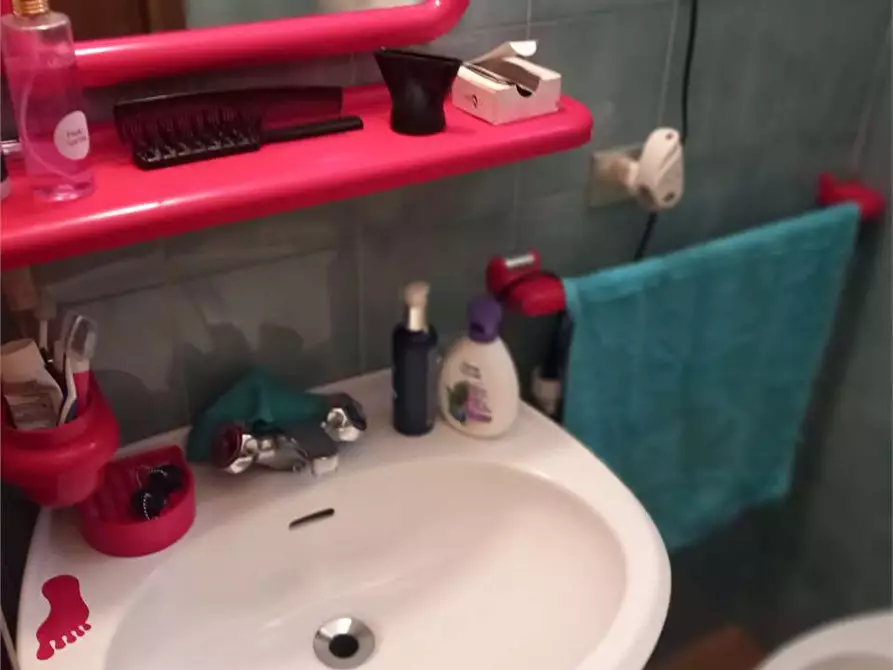 Immagine 36 di Appartamento in vendita  in RIVASCO a Premia