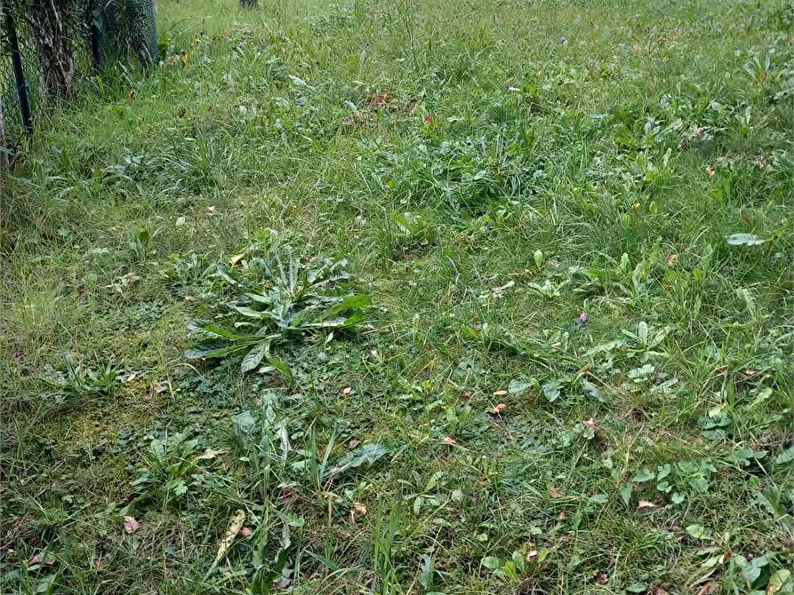 Immagine 41 di Appartamento in vendita  in RIVASCO a Premia