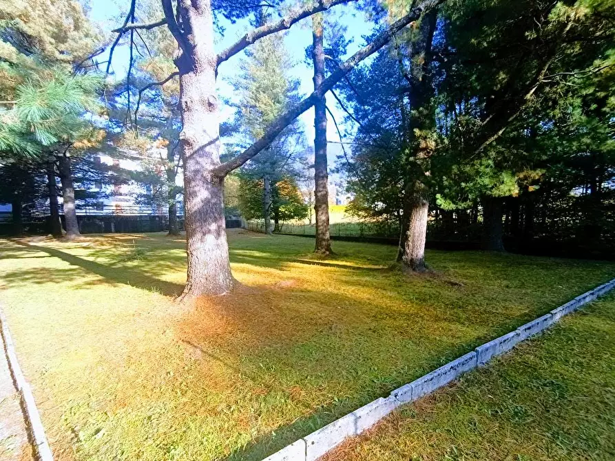 Immagine 10 di Appartamento in vendita  in magistris 29 a Santa Maria Maggiore