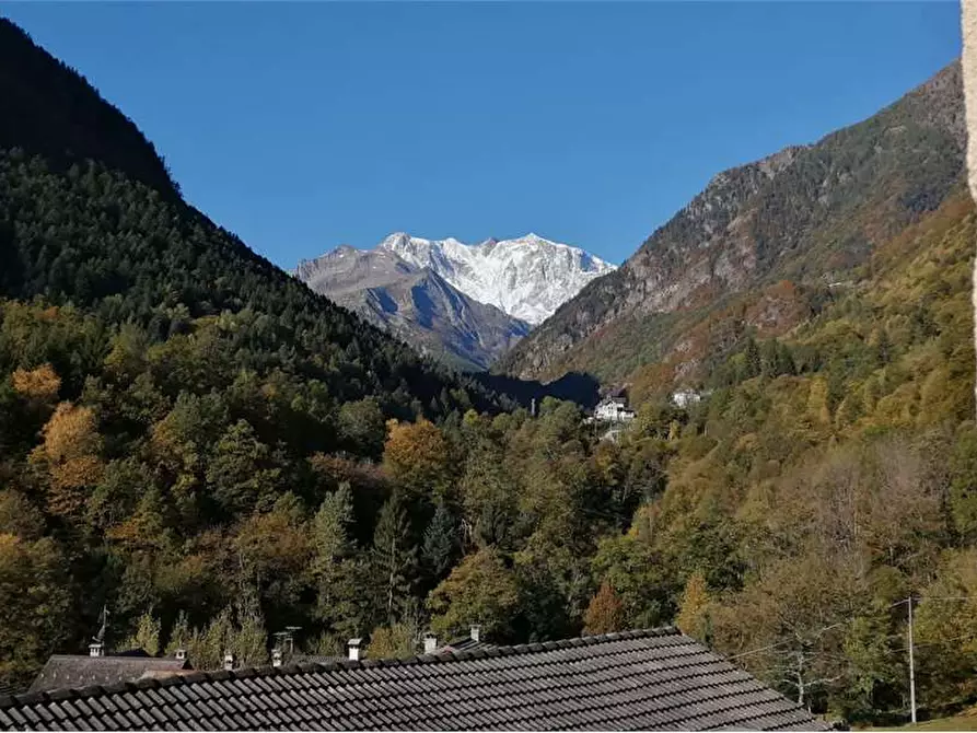 Immagine 44 di Appartamento in affitto  in via pianale 3 a Ceppo Morelli