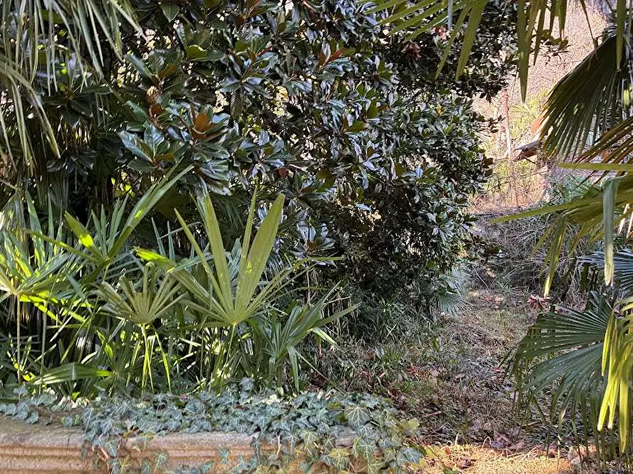 Immagine 38 di Casa bifamiliare in vendita  in LEPONZI 36 a Piedimulera