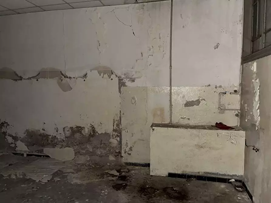 Immagine 48 di Casa bifamiliare in vendita  in LEPONZI 36 a Piedimulera