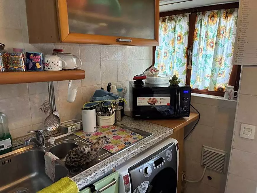 Immagine 21 di Appartamento in vendita  in CANTONE 8 a Pallanzeno