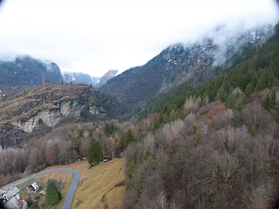Immagine 28 di Rustico / casale in vendita  in piazza chiesa a Premia