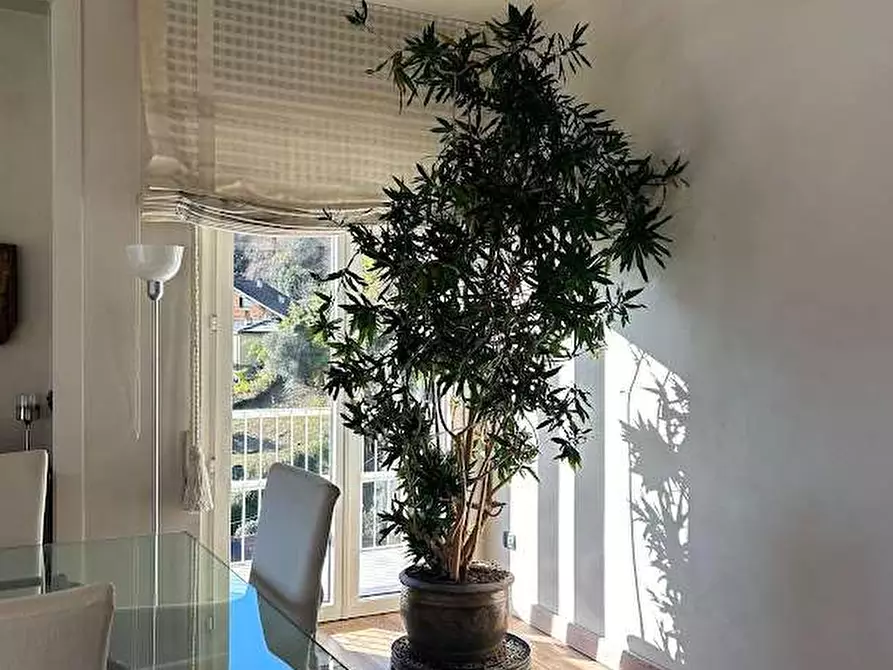 Immagine 10 di Appartamento in affitto  in via luigi comoli a Omegna