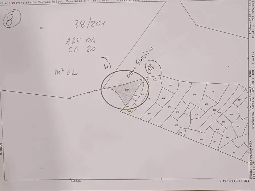 Immagine 46 di Rustico / casale in vendita  in preglia a Crevoladossola