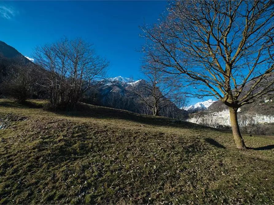 Immagine 4 di Rustico / casale in vendita  in preglia a Crevoladossola
