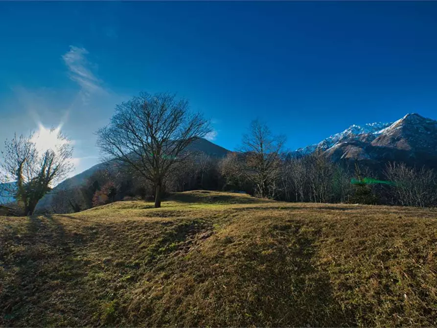 Immagine 2 di Rustico / casale in vendita  in preglia a Crevoladossola