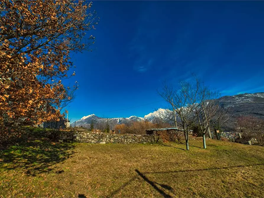 Immagine 38 di Rustico / casale in vendita  in preglia a Crevoladossola