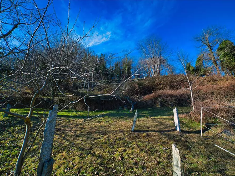 Immagine 34 di Rustico / casale in vendita  in preglia a Crevoladossola