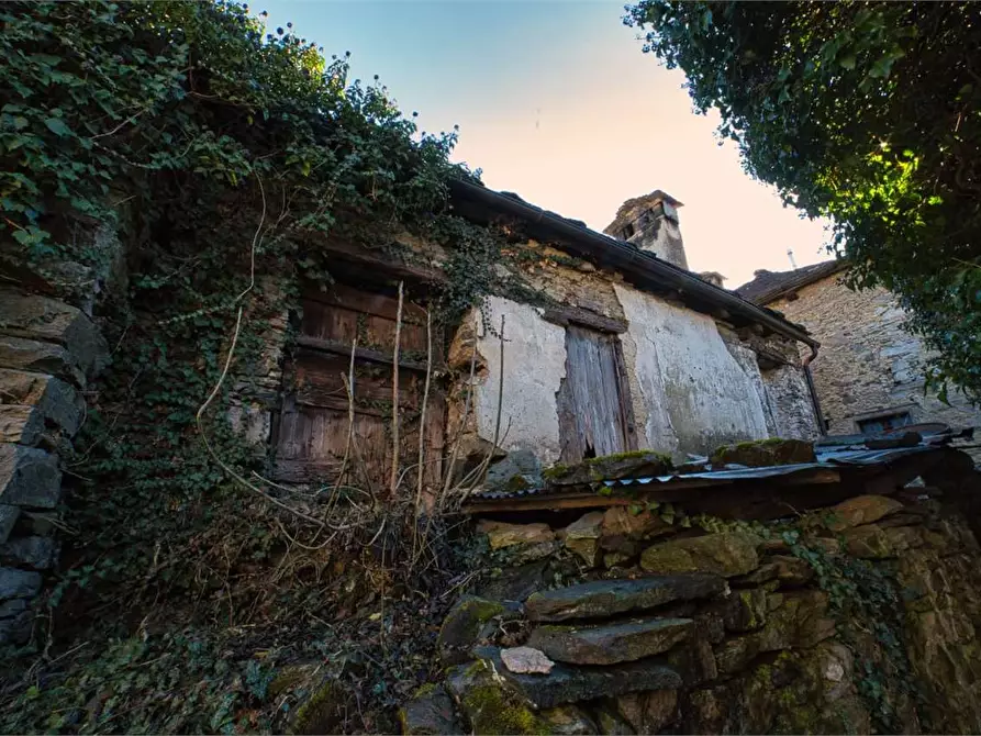 Immagine 28 di Rustico / casale in vendita  in preglia a Crevoladossola