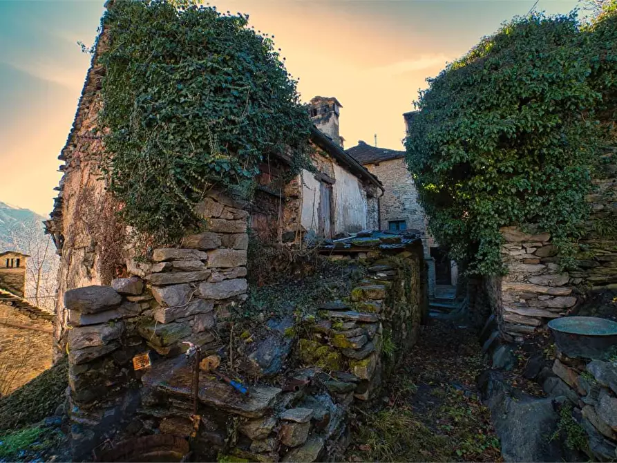Immagine 27 di Rustico / casale in vendita  in preglia a Crevoladossola
