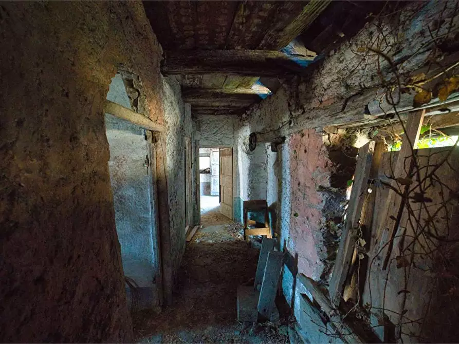 Immagine 26 di Rustico / casale in vendita  in preglia a Crevoladossola