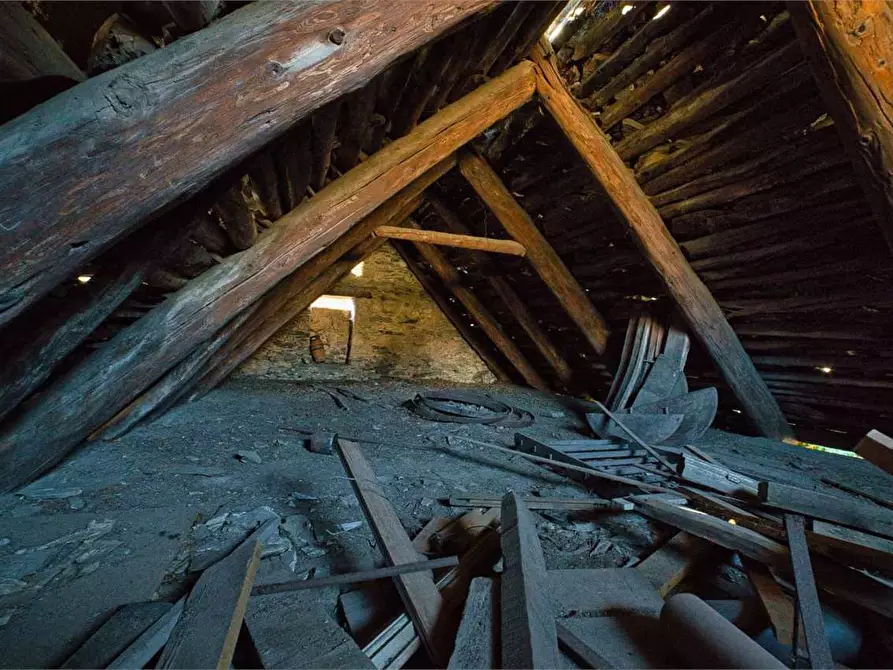 Immagine 25 di Rustico / casale in vendita  in preglia a Crevoladossola