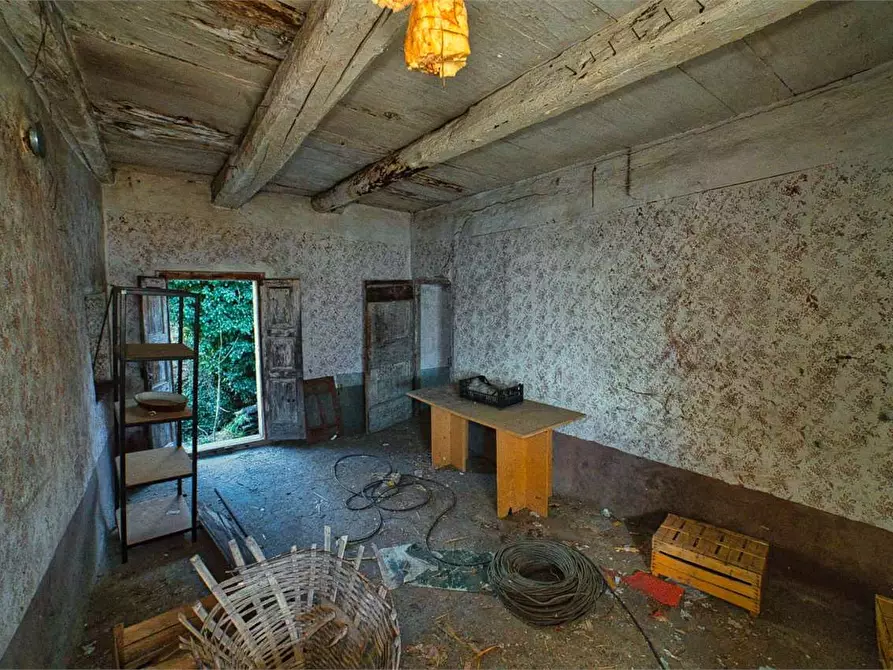 Immagine 21 di Rustico / casale in vendita  in preglia a Crevoladossola