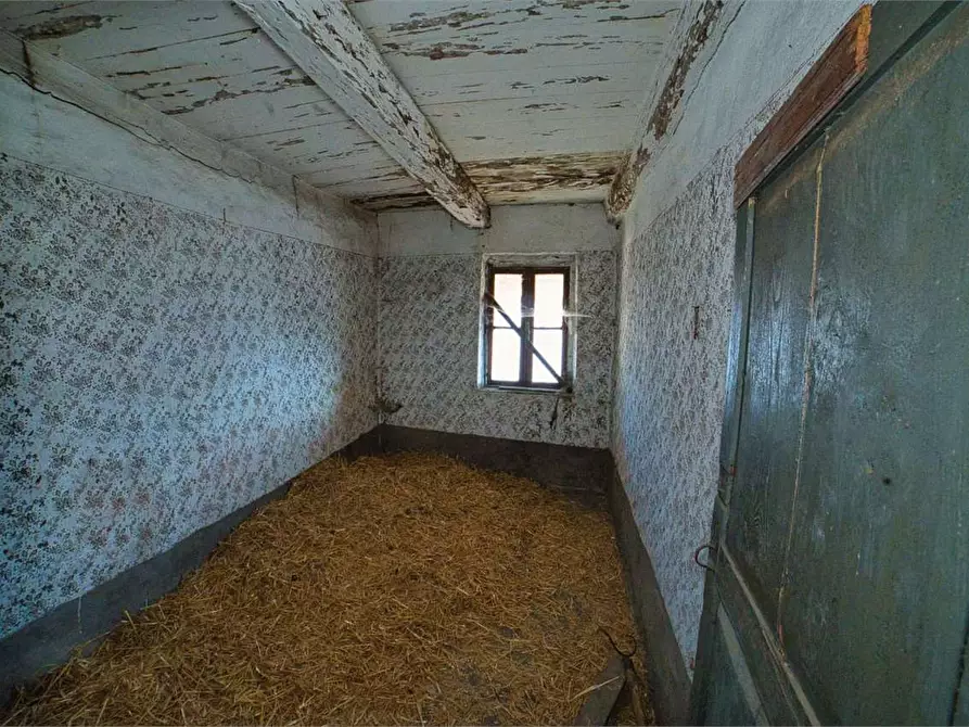 Immagine 20 di Rustico / casale in vendita  in preglia a Crevoladossola