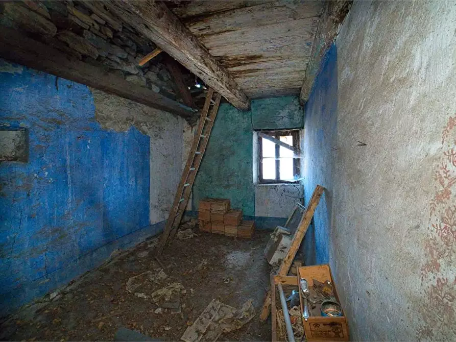 Immagine 19 di Rustico / casale in vendita  in preglia a Crevoladossola