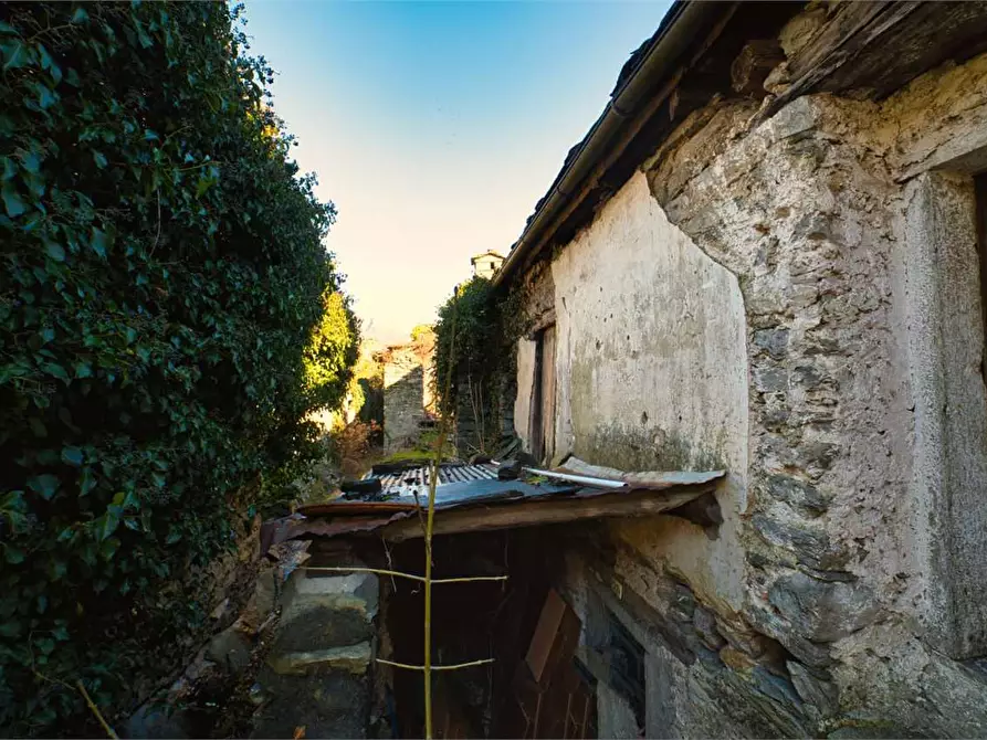 Immagine 30 di Rustico / casale in vendita  in preglia a Crevoladossola