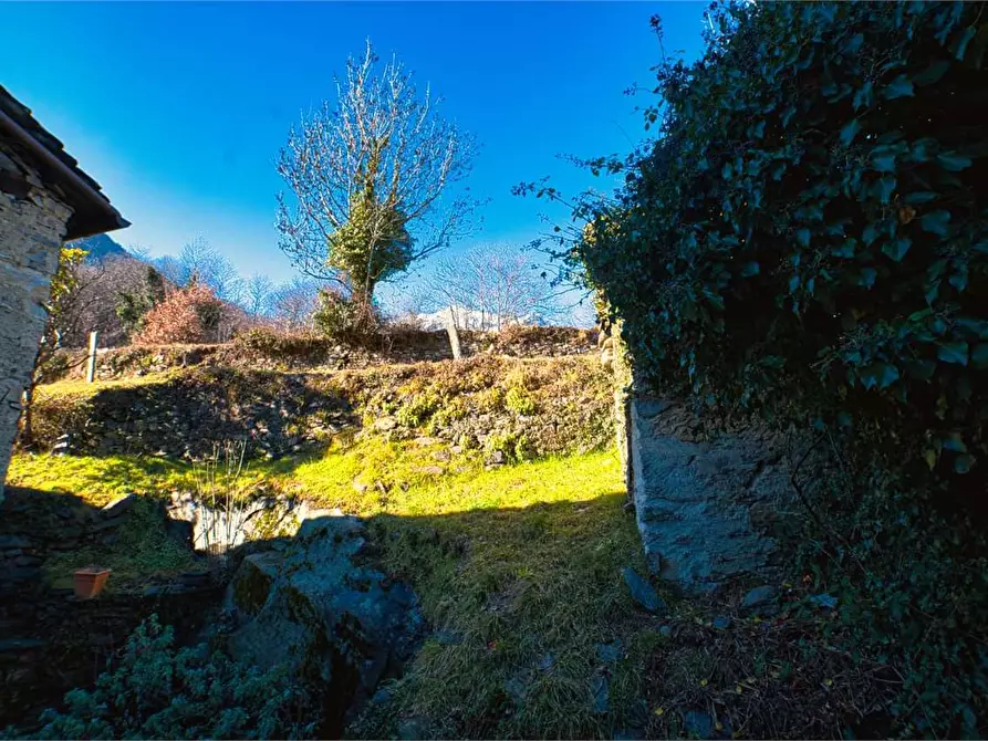 Immagine 32 di Rustico / casale in vendita  in preglia a Crevoladossola