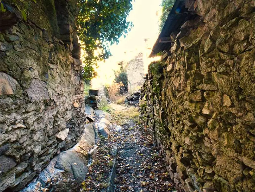 Immagine 14 di Rustico / casale in vendita  in preglia a Crevoladossola