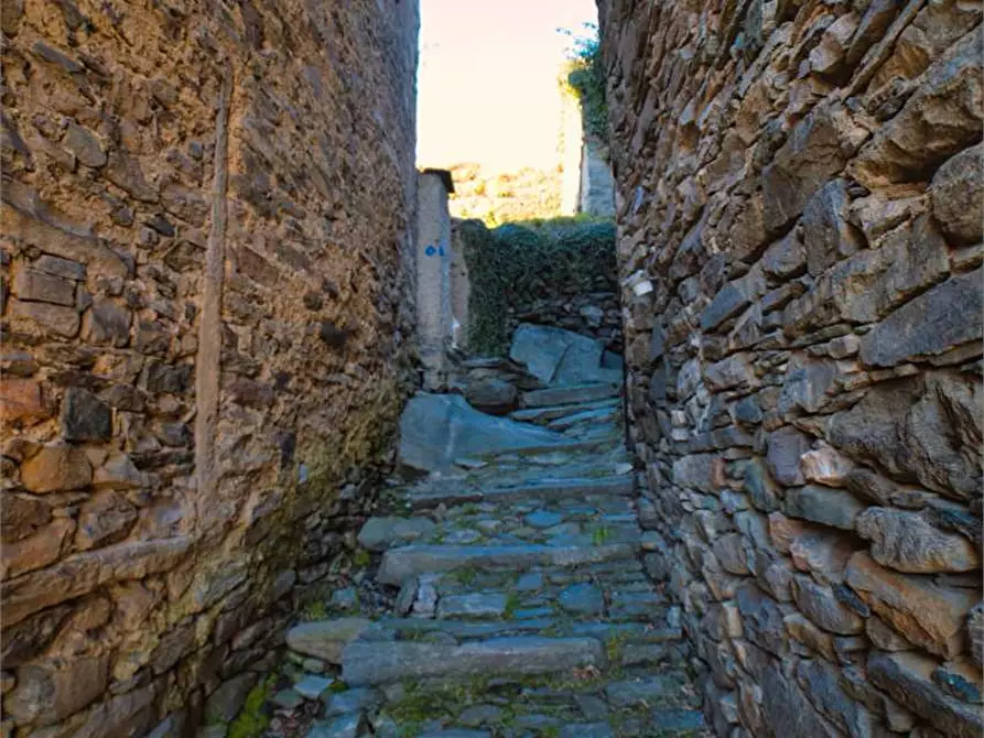 Immagine 9 di Rustico / casale in vendita  in preglia a Crevoladossola